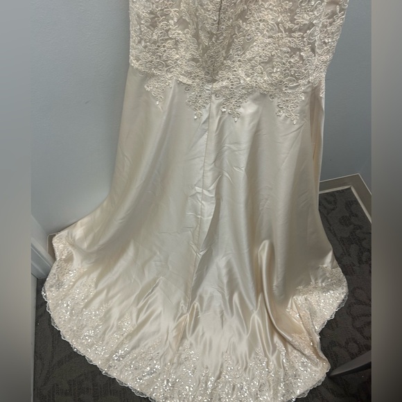 Champagne color gown with an Appliqué bodice, sweep train, scalloped bottom. - Picture 5 of 10